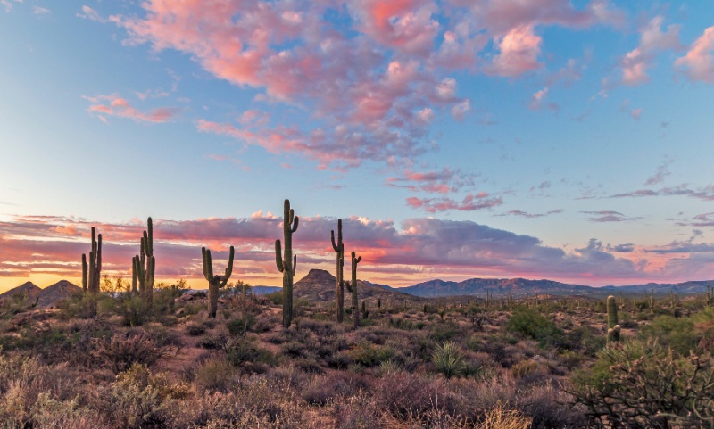 Arizona desert sunset near Gilbert