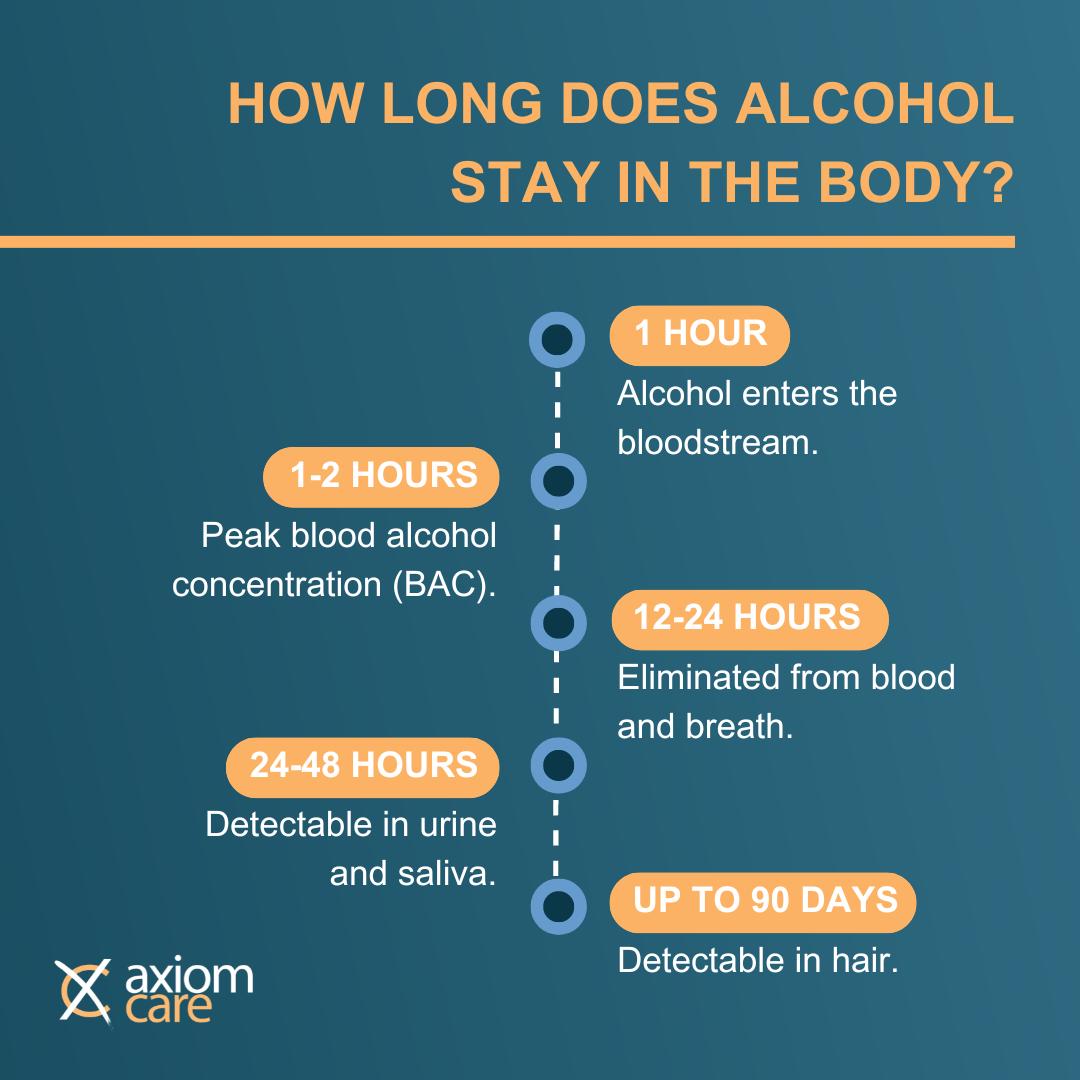 how long does alcohol stay in your body infographic